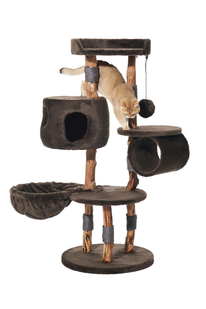 Nobby Kratzbaum Gena